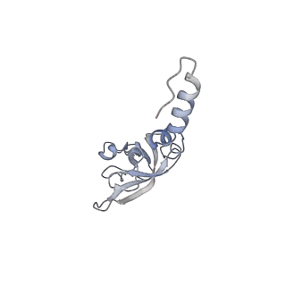 30433_7cpv_SX_v1-2
Cryo-EM structure of 80S ribosome from mouse testis