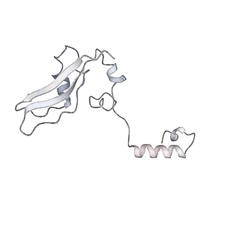 30433_7cpv_SY_v1-2
Cryo-EM structure of 80S ribosome from mouse testis