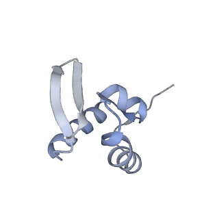 30433_7cpv_SZ_v1-2
Cryo-EM structure of 80S ribosome from mouse testis
