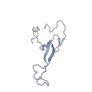 30433_7cpv_Sa_v1-2
Cryo-EM structure of 80S ribosome from mouse testis
