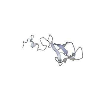 30433_7cpv_Sb_v1-2
Cryo-EM structure of 80S ribosome from mouse testis