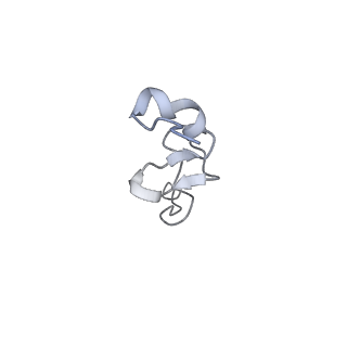 30433_7cpv_Sd_v1-2
Cryo-EM structure of 80S ribosome from mouse testis