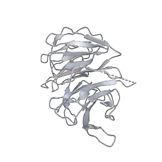 30433_7cpv_Sg_v1-2
Cryo-EM structure of 80S ribosome from mouse testis