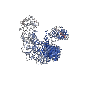 30435_7cpy_A_v1-2
Lovastatin nonaketide synthase with LovC