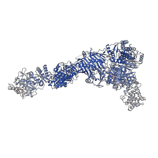 30435_7cpy_B_v1-2
Lovastatin nonaketide synthase with LovC
