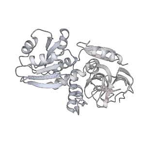 30435_7cpy_C_v1-2
Lovastatin nonaketide synthase with LovC
