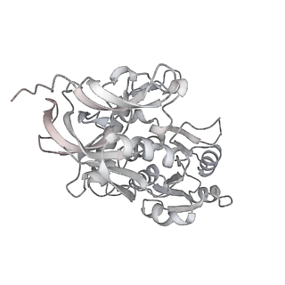 30435_7cpy_D_v1-2
Lovastatin nonaketide synthase with LovC