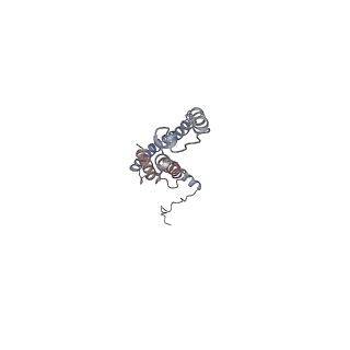 7546_6cp3_7_v1-3
Monomer yeast ATP synthase (F1Fo) reconstituted in nanodisc with inhibitor of oligomycin bound.