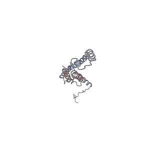 7546_6cp3_7_v2-0
Monomer yeast ATP synthase (F1Fo) reconstituted in nanodisc with inhibitor of oligomycin bound.