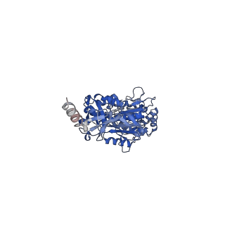 7546_6cp3_A_v1-3
Monomer yeast ATP synthase (F1Fo) reconstituted in nanodisc with inhibitor of oligomycin bound.