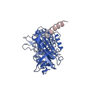 7546_6cp3_B_v1-3
Monomer yeast ATP synthase (F1Fo) reconstituted in nanodisc with inhibitor of oligomycin bound.