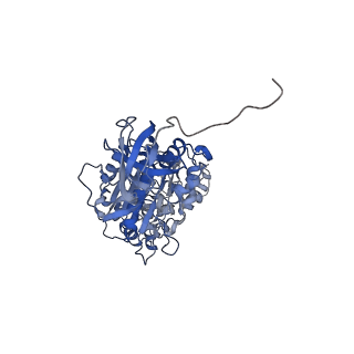 7546_6cp3_C_v1-3
Monomer yeast ATP synthase (F1Fo) reconstituted in nanodisc with inhibitor of oligomycin bound.