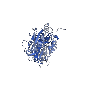 7546_6cp3_C_v2-0
Monomer yeast ATP synthase (F1Fo) reconstituted in nanodisc with inhibitor of oligomycin bound.