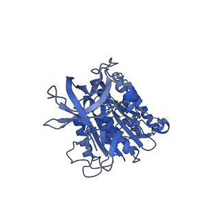 7546_6cp3_D_v1-3
Monomer yeast ATP synthase (F1Fo) reconstituted in nanodisc with inhibitor of oligomycin bound.