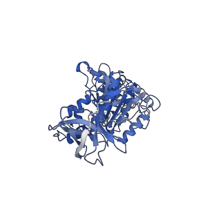 7546_6cp3_E_v1-3
Monomer yeast ATP synthase (F1Fo) reconstituted in nanodisc with inhibitor of oligomycin bound.