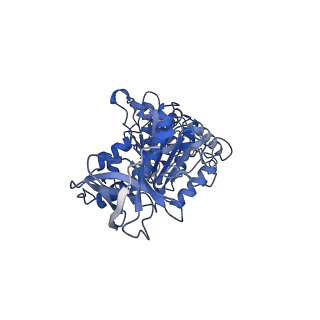 7546_6cp3_E_v2-0
Monomer yeast ATP synthase (F1Fo) reconstituted in nanodisc with inhibitor of oligomycin bound.