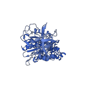 7546_6cp3_F_v1-3
Monomer yeast ATP synthase (F1Fo) reconstituted in nanodisc with inhibitor of oligomycin bound.