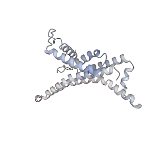 7546_6cp3_X_v1-3
Monomer yeast ATP synthase (F1Fo) reconstituted in nanodisc with inhibitor of oligomycin bound.