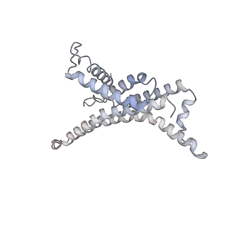 7546_6cp3_X_v2-0
Monomer yeast ATP synthase (F1Fo) reconstituted in nanodisc with inhibitor of oligomycin bound.
