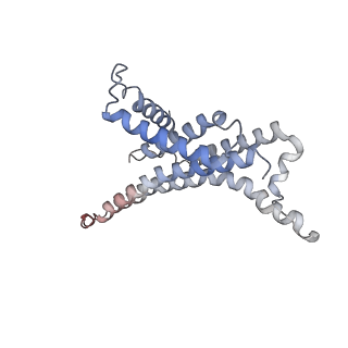 7547_6cp5_X_v1-3
Monomer yeast ATP synthase Fo reconstituted in nanodisc with inhibitor of oligomycin bound generated from focused refinement.