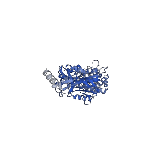 7548_6cp6_A_v1-3
Monomer yeast ATP synthase (F1Fo) reconstituted in nanodisc.