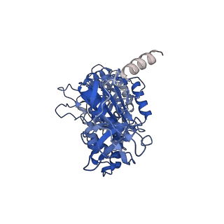 7548_6cp6_B_v2-0
Monomer yeast ATP synthase (F1Fo) reconstituted in nanodisc.