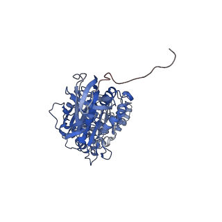 7548_6cp6_C_v1-3
Monomer yeast ATP synthase (F1Fo) reconstituted in nanodisc.