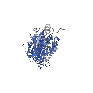 7548_6cp6_C_v2-0
Monomer yeast ATP synthase (F1Fo) reconstituted in nanodisc.