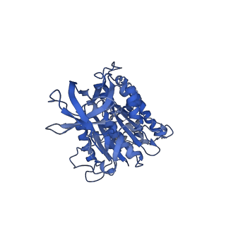 7548_6cp6_D_v1-3
Monomer yeast ATP synthase (F1Fo) reconstituted in nanodisc.