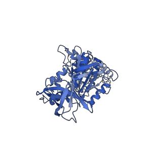 7548_6cp6_E_v1-3
Monomer yeast ATP synthase (F1Fo) reconstituted in nanodisc.