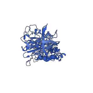 7548_6cp6_F_v1-3
Monomer yeast ATP synthase (F1Fo) reconstituted in nanodisc.