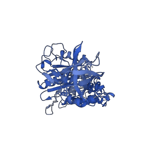 7548_6cp6_F_v2-0
Monomer yeast ATP synthase (F1Fo) reconstituted in nanodisc.