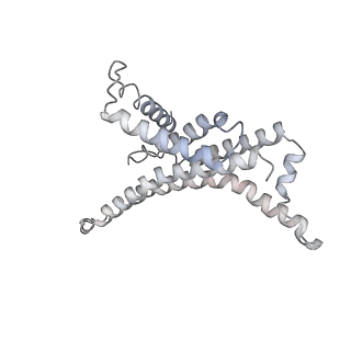 7548_6cp6_X_v1-3
Monomer yeast ATP synthase (F1Fo) reconstituted in nanodisc.