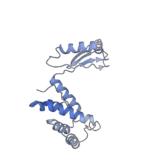 7548_6cp6_Y_v2-0
Monomer yeast ATP synthase (F1Fo) reconstituted in nanodisc.