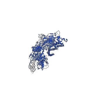 16792_8cq0_C_v1-0
Photorhabdus luminescens TcdA1 prepore-to-pore intermediate, K567W K2008W mutant