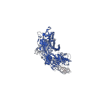 16792_8cq0_D_v1-0
Photorhabdus luminescens TcdA1 prepore-to-pore intermediate, K567W K2008W mutant