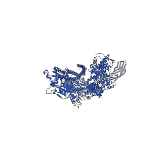 16792_8cq0_E_v1-0
Photorhabdus luminescens TcdA1 prepore-to-pore intermediate, K567W K2008W mutant