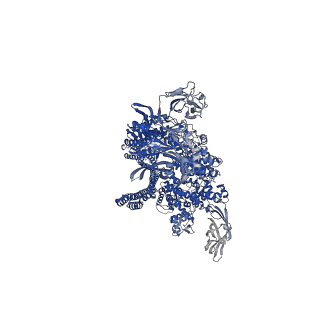 16793_8cq2_A_v1-0
Photorhabdus luminescens TcdA1 prepore-to-pore intermediate, C16S, C20S, C870S, T1279C mutant