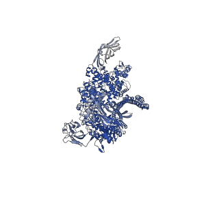 16793_8cq2_D_v1-0
Photorhabdus luminescens TcdA1 prepore-to-pore intermediate, C16S, C20S, C870S, T1279C mutant