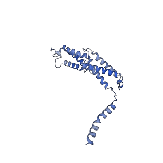 30436_7cq5_A_v1-0
Structure of the human CLCN7-OSTM1 complex with ATP