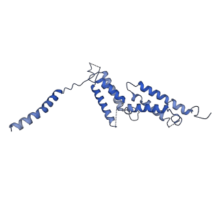 30436_7cq5_B_v1-0
Structure of the human CLCN7-OSTM1 complex with ATP