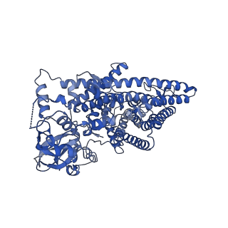 30436_7cq5_C_v1-0
Structure of the human CLCN7-OSTM1 complex with ATP