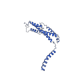 30437_7cq6_A_v1-0
Structure of the human CLCN7-OSTM1 complex