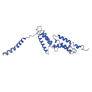 30437_7cq6_B_v1-0
Structure of the human CLCN7-OSTM1 complex