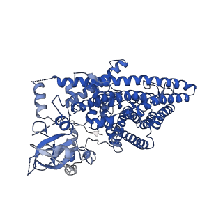 30437_7cq6_C_v1-0
Structure of the human CLCN7-OSTM1 complex