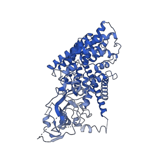 30437_7cq6_D_v1-0
Structure of the human CLCN7-OSTM1 complex