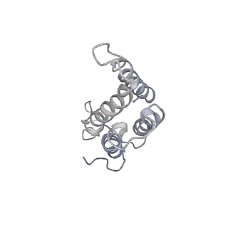 30441_7cqi_A_v1-2
Cryo-EM structure of the substrate-bound SPT-ORMDL3 complex
