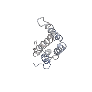 30441_7cqi_A_v1-3
Cryo-EM structure of the substrate-bound SPT-ORMDL3 complex