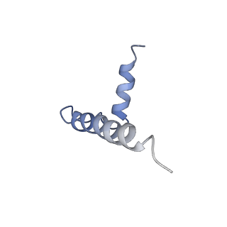 30441_7cqi_E_v1-2
Cryo-EM structure of the substrate-bound SPT-ORMDL3 complex
