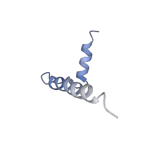 30441_7cqi_E_v1-3
Cryo-EM structure of the substrate-bound SPT-ORMDL3 complex